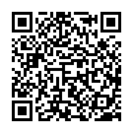 QR code for QK0919