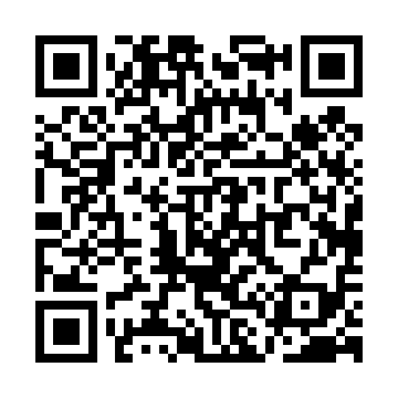 QR code for QL0419