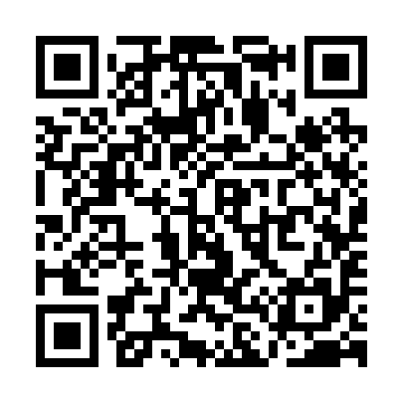 QR code for QL3295