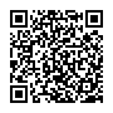 QR code for QL6595