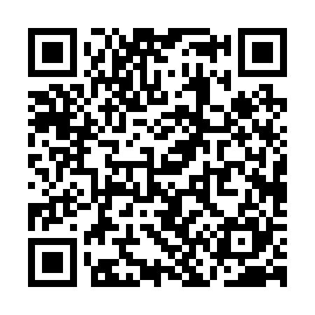 QR code for QN0225