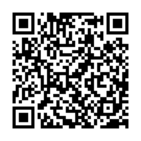 QR code for QN0290