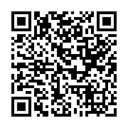 QR code for QN0308