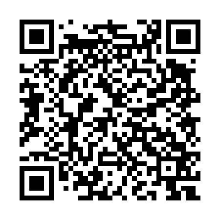 QR code for QN0463