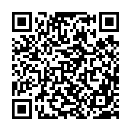 QR code for QN0666
