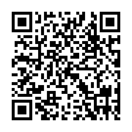 QR code for QN0939