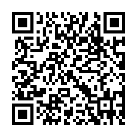QR code for QN0953