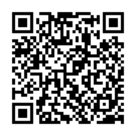 QR code for QN3295