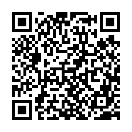 QR code for QN4666