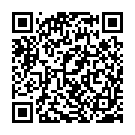 QR code for QN9393