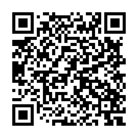 QR code for QO3847