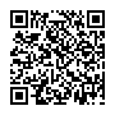 QR code for QP0311