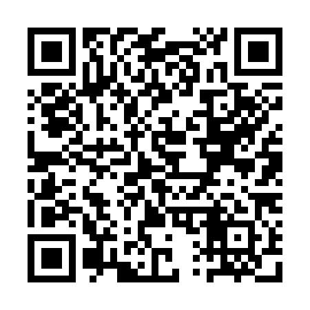 QR code for QQ6381