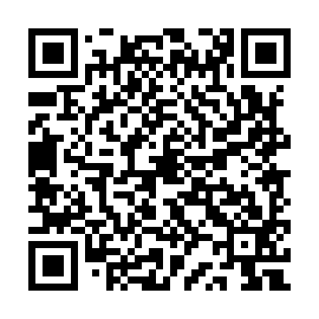 QR code for QR0993