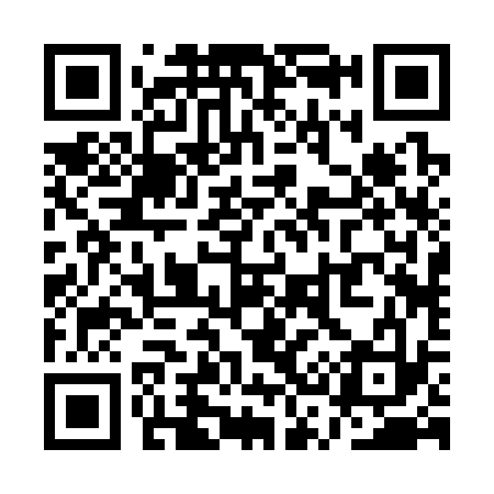 QR code for QS2333