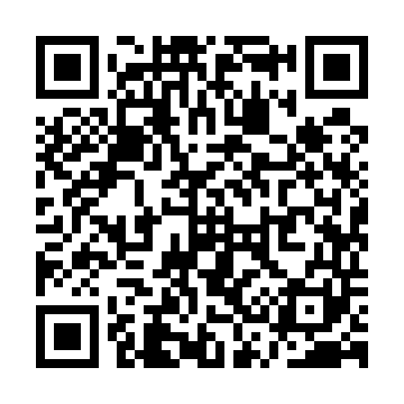 QR code for QS9541