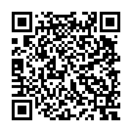 QR code for QT0493