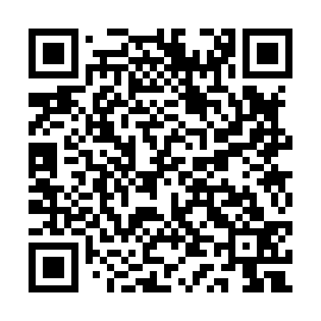 QR code for QT3833