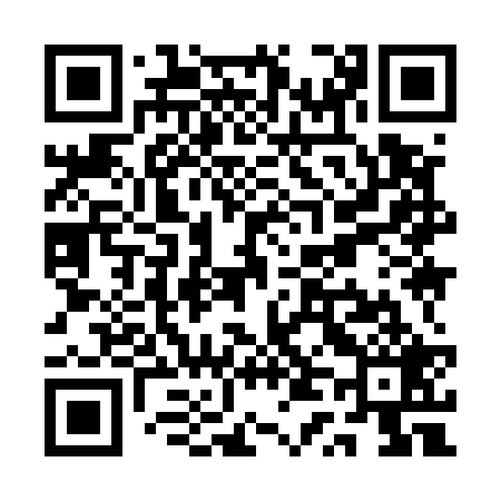 QR code for QT9529