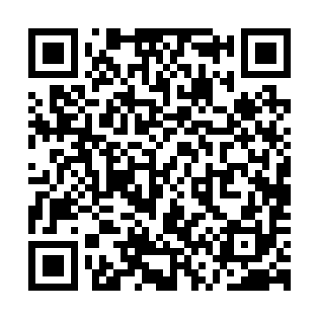 QR code for QV0290