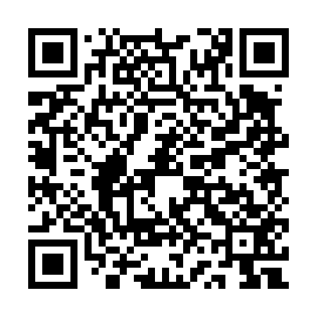 QR code for QV0453