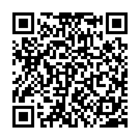 QR code for QV2335