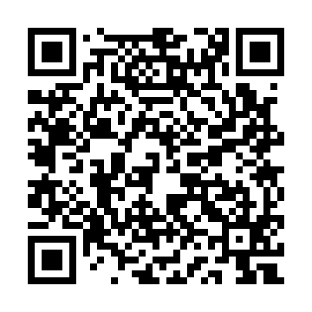 QR code for QV3195