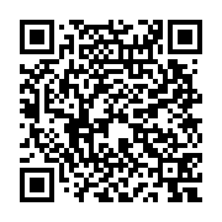 QR code for QV3771