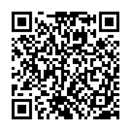 QR code for QV3863