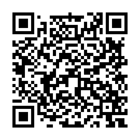 QR code for QV3867