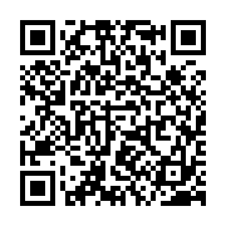QR code for QV3933