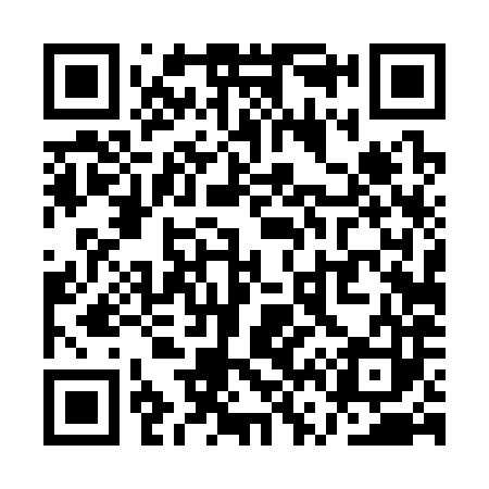 QR code for QV4383