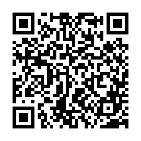 QR code for QV6246