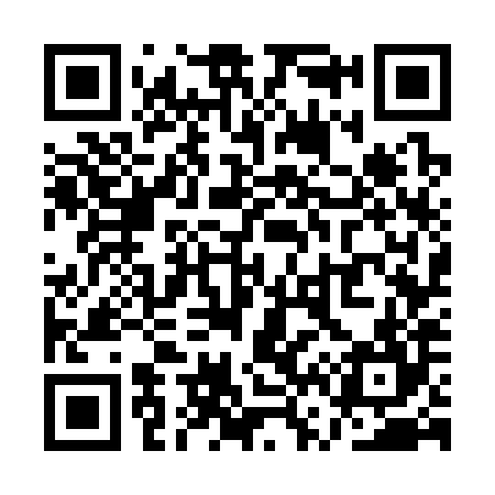QR code for QV7384