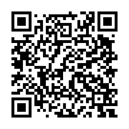 QR code for QV9463
