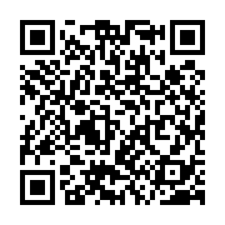 QR code for QV9538