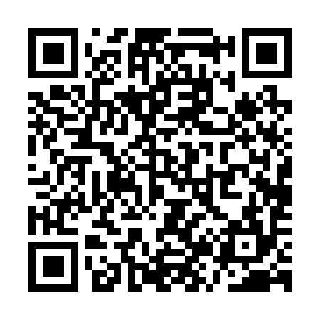 QR code for QZ0294