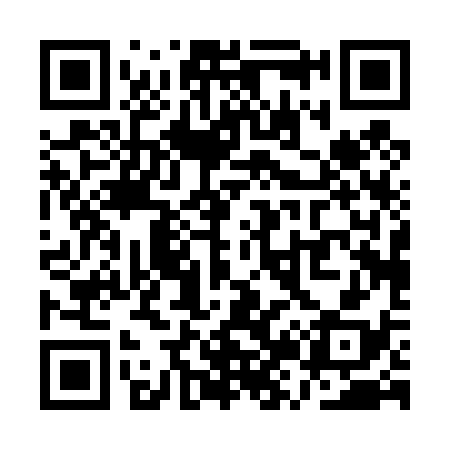 QR code for QZ0438