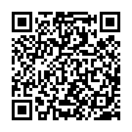 QR code for QZ0491