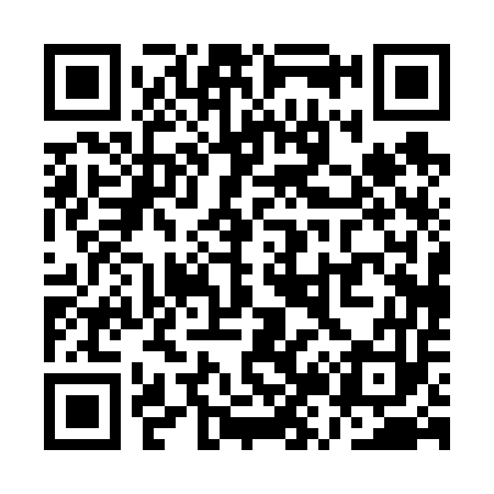 QR code for QZ0653