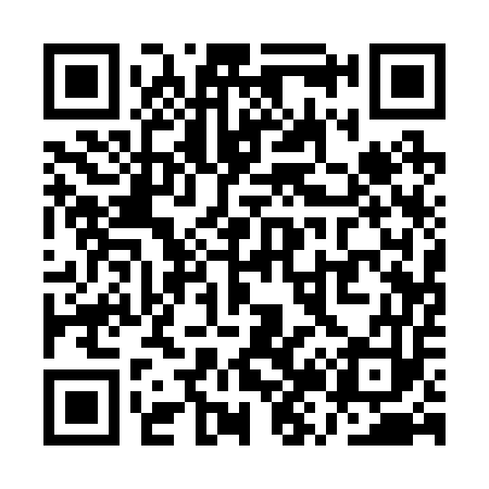 QR code for QZ1253