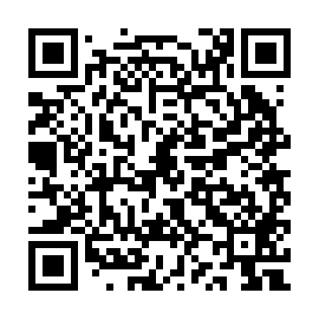 QR code for QZ2289
