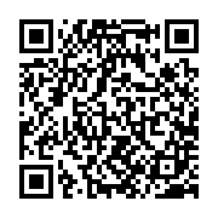 QR code for QZ4383