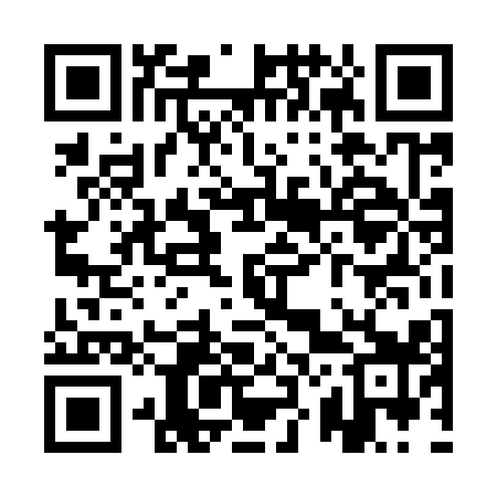 QR code for QZ4919