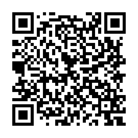 QR code for QZ9965