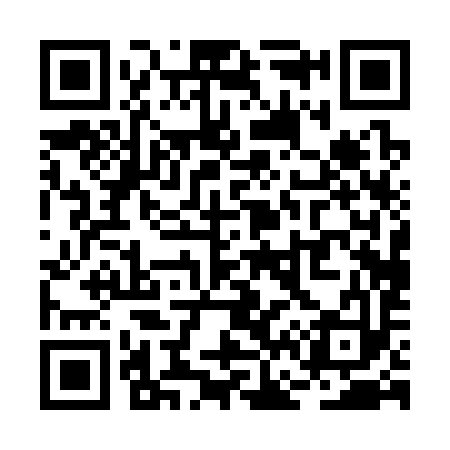 QR code for RF0393