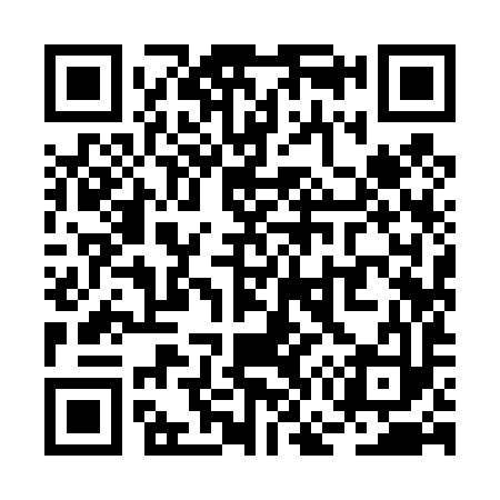 QR code for RG9493