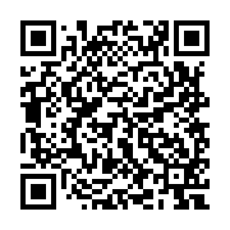 QR code for RI2993