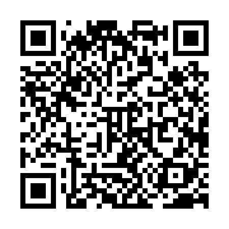 QR code for RO0228