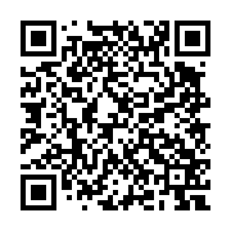 QR code for RO0463